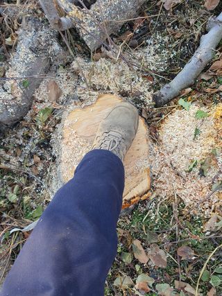 이훈희님의 사과 · 일상 작성글 사진