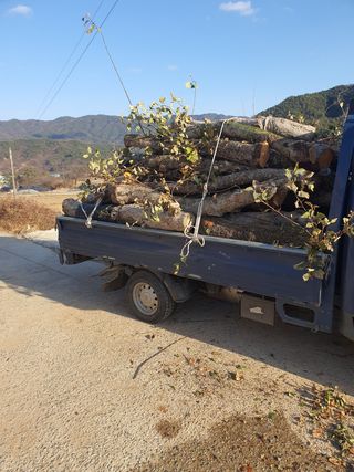 이훈희님의 사과 · 일상 작성글 사진