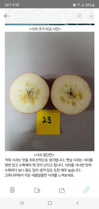 이훈희님의 사과 · 일상 작성글 사진