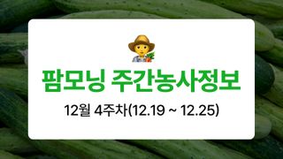 오이 농사도우미님의 오이 · 농사길잡이 작성글 사진