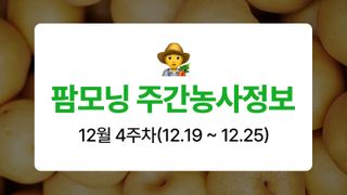 배 농사도우미님의 배·자연재해•동물피해 작성글 사진