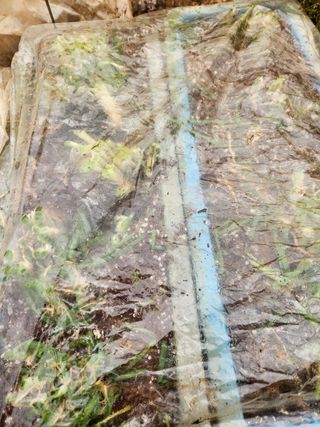 Preotu님의 기타작물 · 자유게시판 작성글 사진