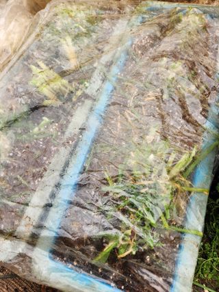 Preotu님의 기타작물 · 자유게시판 작성글 사진