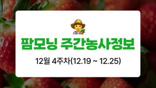 딸기 농사도우미님의 딸기 · 온도 관리 작성글 사진