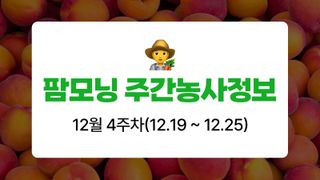 복숭아 농사도우미님의 복숭아 · 농사길잡이 작성글 사진