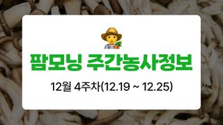 버섯 농사도우미님의 버섯 · 생장기 농작업 작성글 사진