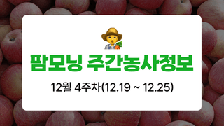 사과 농사도우미님의 사과 · 자연재해•동물피해 작성글 사진