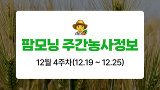 팜모닝 농사도우미님의 기타작물 · 농사길잡이 작성글 사진