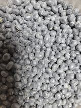 팜모닝 콩·자유게시판 게시글 이미지