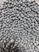 팜모닝 · 게시글 이미지