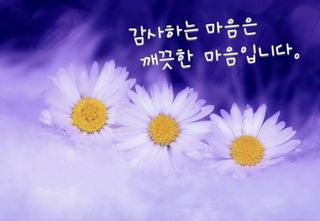 김주용님의 마늘 · 일상 작성글 사진