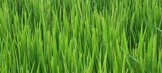 고현탁 님의 작성글 사진