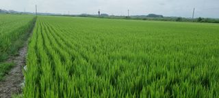 고현탁 님의 작성글 사진