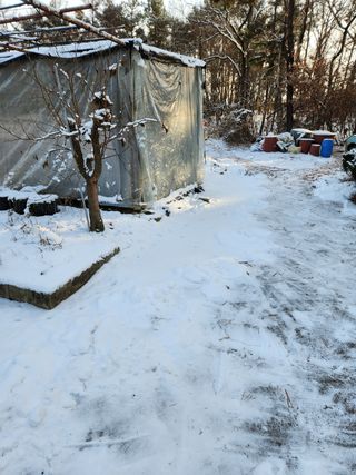 Preotu님의 기타작물 · 자유게시판 작성글 사진