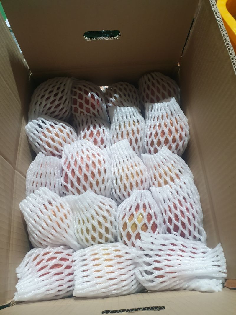 조순자님의 장터 판매 상품 [청송 사과 가정과 10kg] 첨부 사진