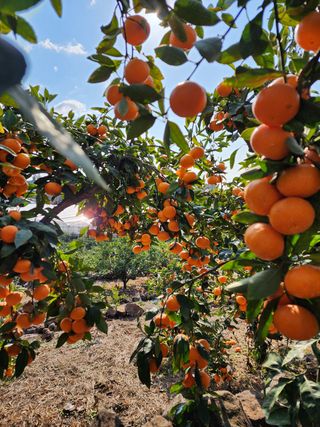 조현기 님의 작성글 사진