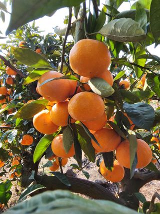 조현기 님의 작성글 사진