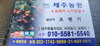 조현기 님의 작성글 사진