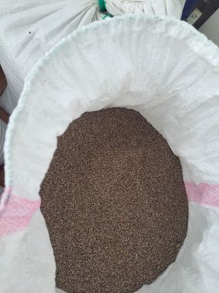 성낙광 님의 들깨 · 자유게시판 작성글 사진