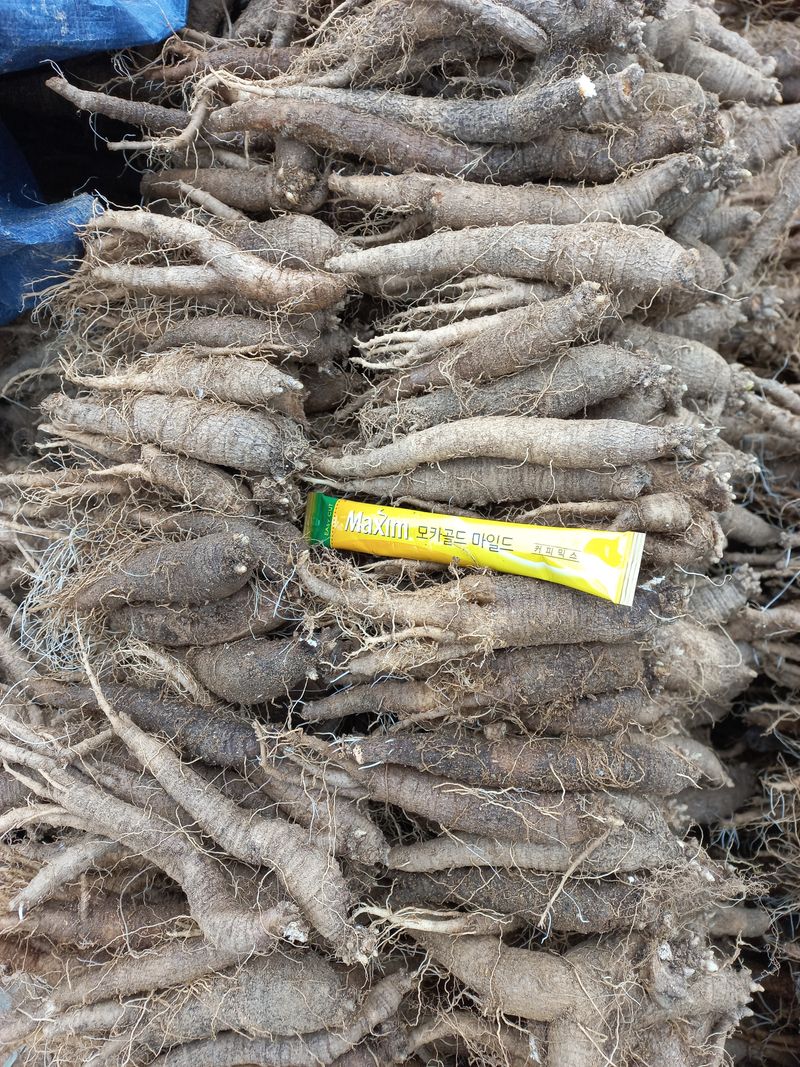 이명숙님의 장터 판매 상품 [더덕 1kg   10000원  호두 1kg  10000원 판매완료] 첨부 사진