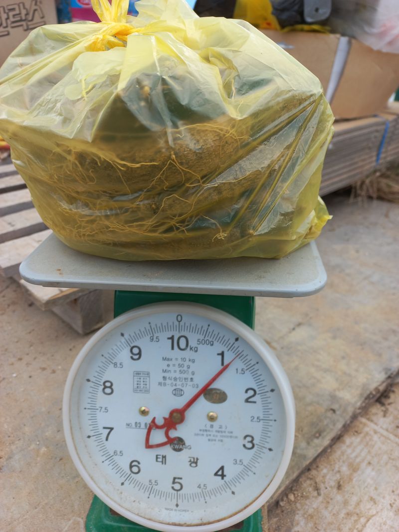 장터 상품 [더덕 1kg   10000원  호두 1kg  10000원 판매완료] 썸네일