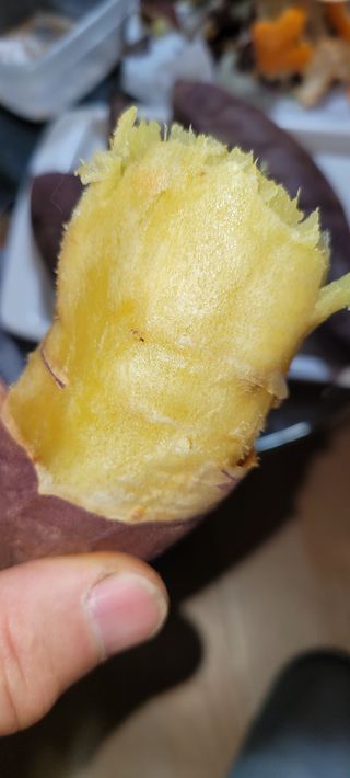 이동훈님의 고구마 · 자유게시판 작성글 사진