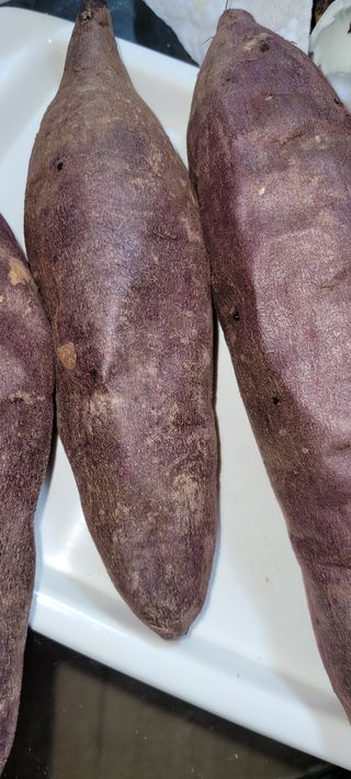 이동훈님의 고구마 · 자유게시판 작성글 사진