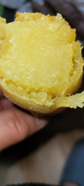 이동훈님의 고구마 · 자유게시판 작성글 사진