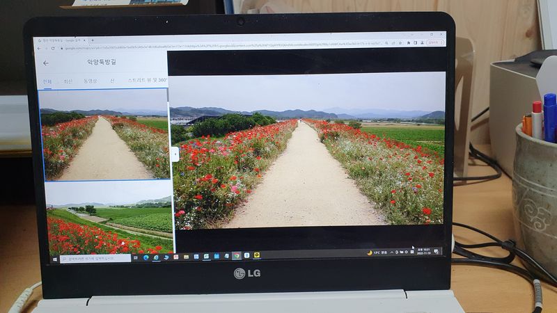 유창남님의 장터 판매 상품 [산지직송설향딸기1k(500g*2팩)] 첨부 사진