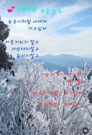 김주용님의 기타작물 · 자유게시판 작성글 사진