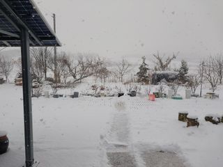 바위돌님의 콩 · 자유게시판 작성글 사진