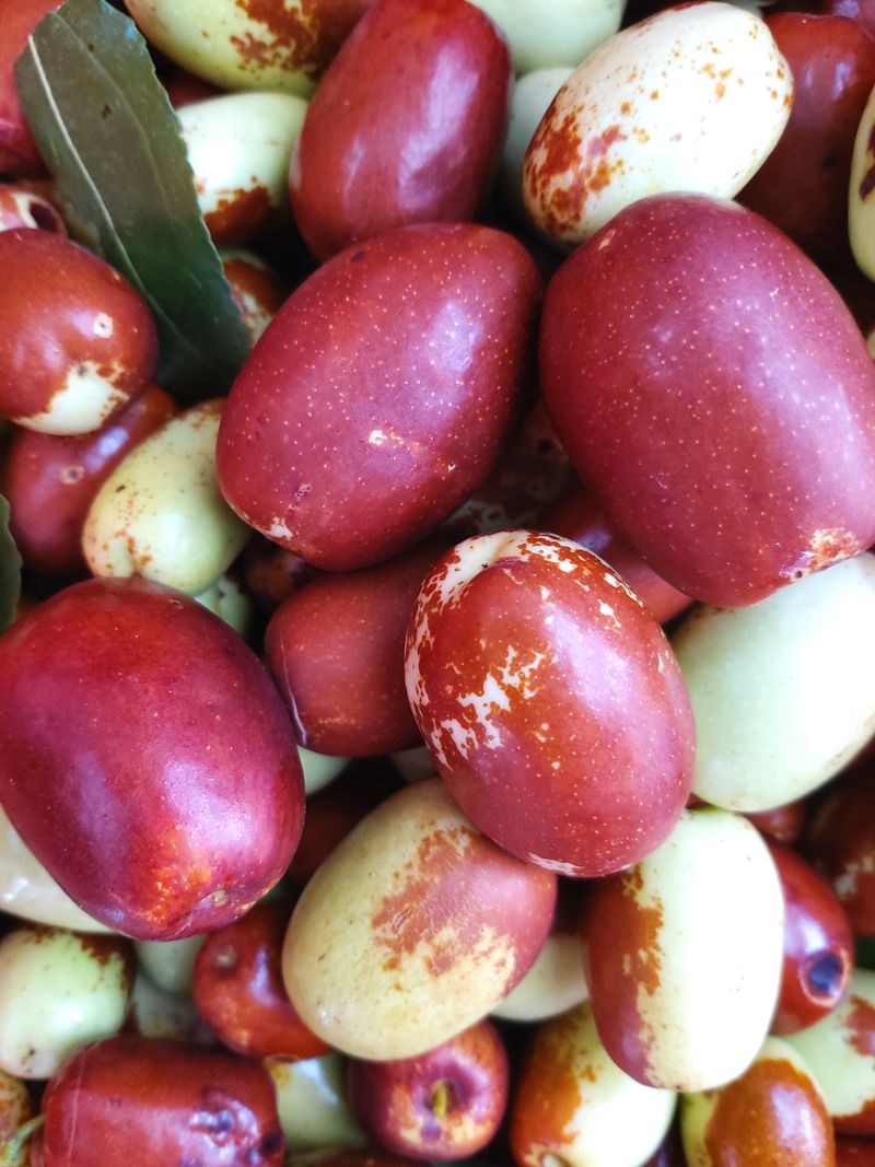 유석범님의 장터 판매 상품 [건대추(특초). 2kg.  (오늘부로 품절됬습니다.감사합니다)] 첨부 사진