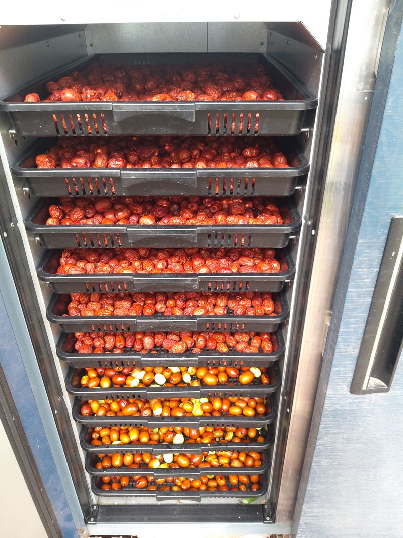 유석범님의 장터 판매 상품 [건대추(특초). 2kg.  (오늘부로 품절됬습니다.감사합니다)] 첨부 사진