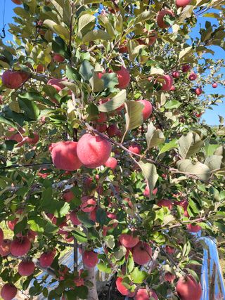 김주영님의 작성글 사진
