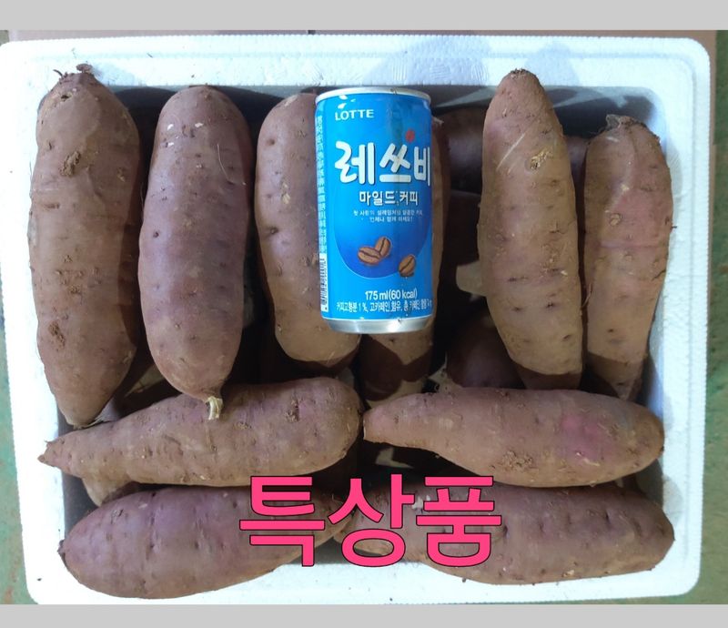 양심농사꾼님의 장터 판매 상품 [정말맛있는 해풍머금은 안면도 꿀고구마 5kg] 첨부 사진