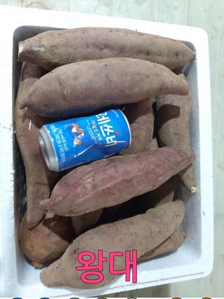 양심농사꾼님의 고구마 · 자유게시판 작성글 사진