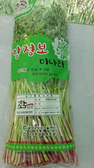 노태영님의 작성글 사진