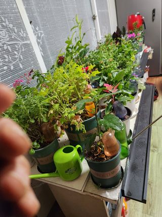 Preotu님의 기타작물 · 자유게시판 작성글 사진