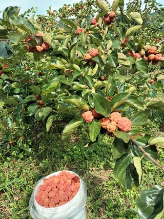 이영숙님의 작성글 사진