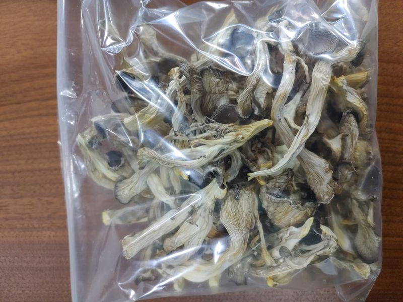 장터 상품 [느타리버섯 100g] 썸네일