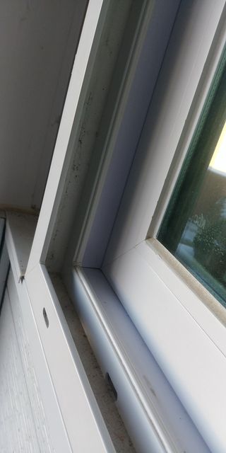 김관수회원님의 기타작물 · 자유게시판 작성글 사진