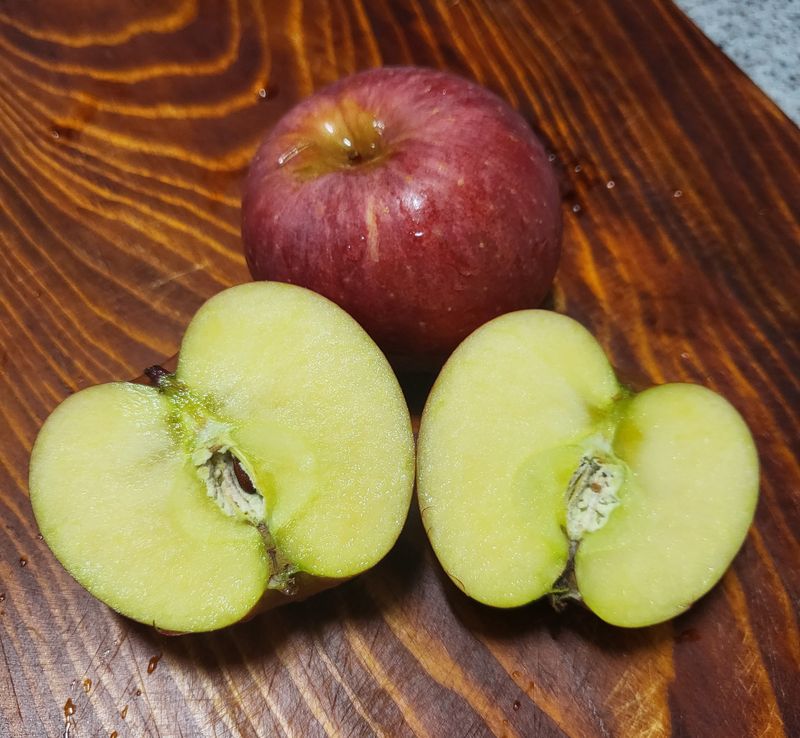 김주영님의 장터 판매 상품 [부사 사과 🍎 10kg] 첨부 사진