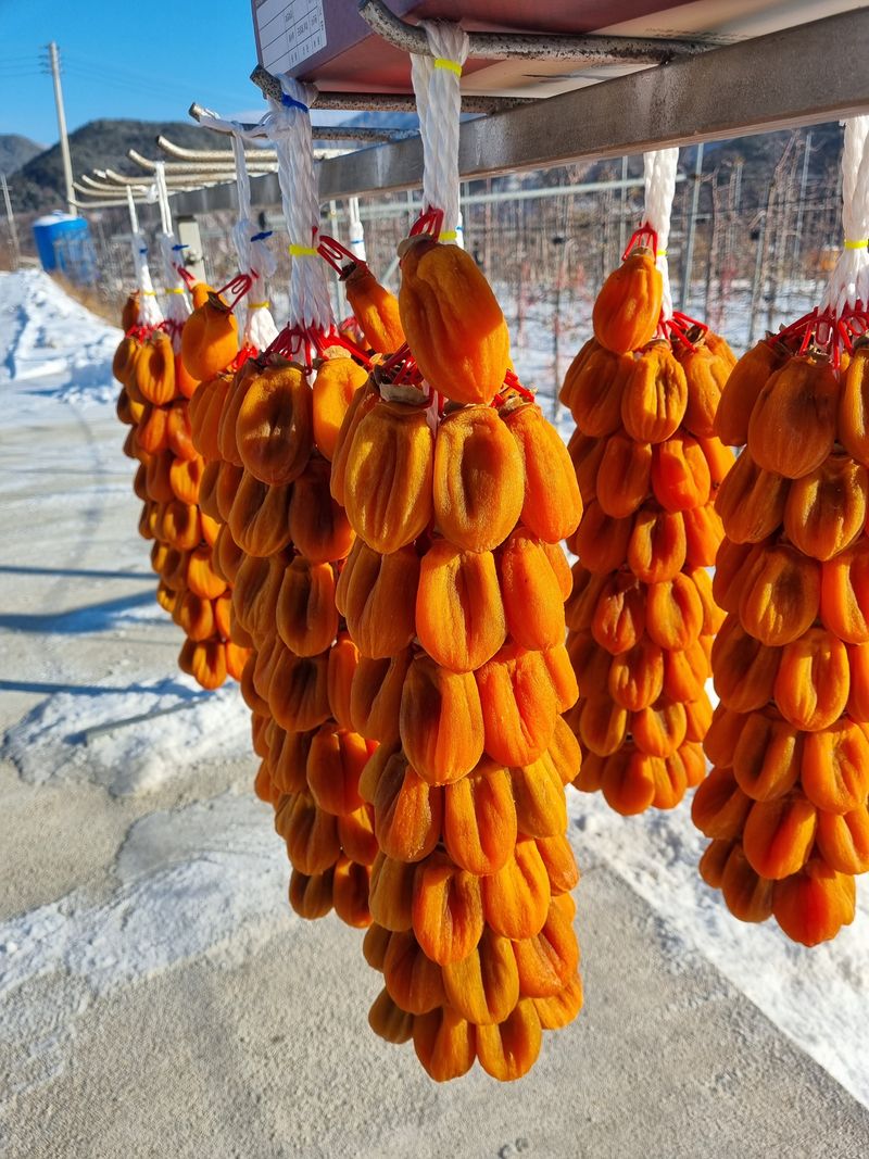 사과와곶감님의 장터 판매 상품 [함양곶감 ] 첨부 사진
