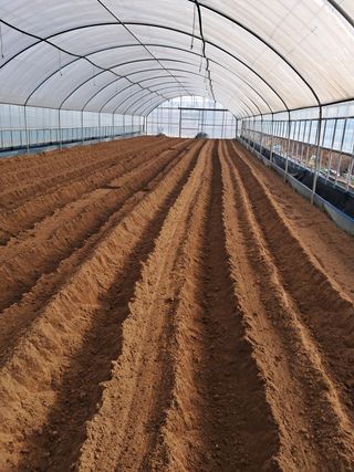 강춘원님의 감자 · 자유게시판 작성글 사진