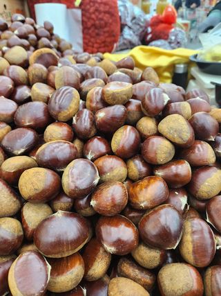 농부들의아지트님의 작성글 사진