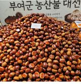 팜모닝 · 게시글 이미지