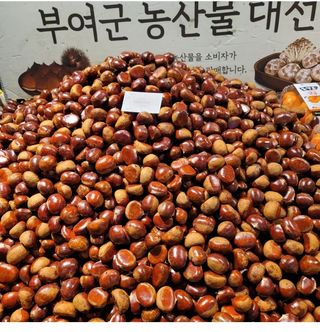 농부들의아지트님의 작성글 사진