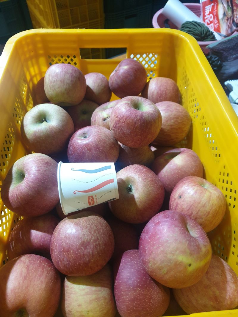 장터 상품 [청송 서리태 ] 썸네일