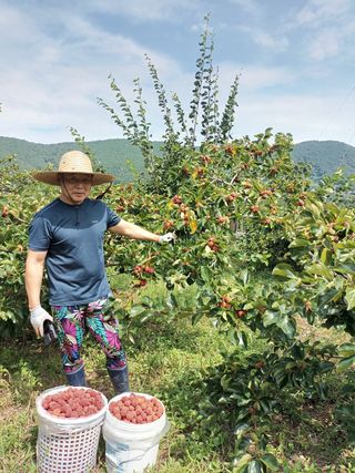 이영숙님의 작성글 사진