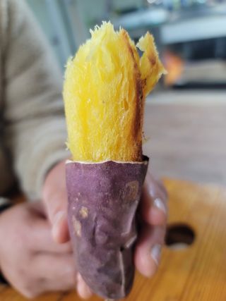 강성우님의 고구마 · 자유게시판 작성글 사진